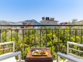 View from balcony over carob tree