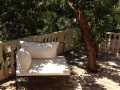Under our carob tree