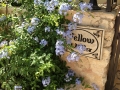 Welcome with flowers